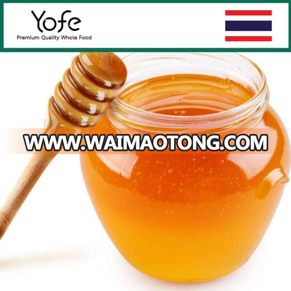 Natural Wild Forest Amber Honey Thai Export Quality